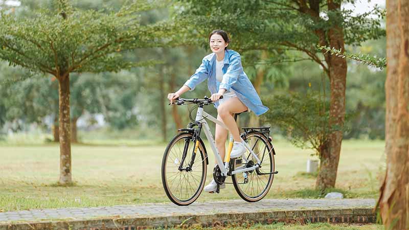 Xe đạp số mấy? Giấc mơ quen thuộc và vận may tài lộc