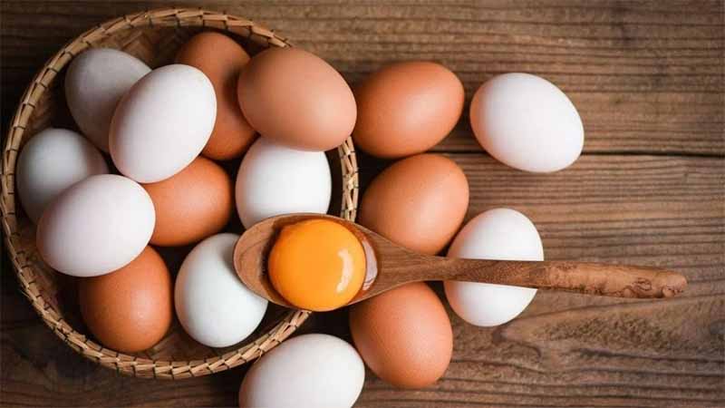 Trứng gà số mấy? Mơ thấy trứng gà báo hiệu điều gì?