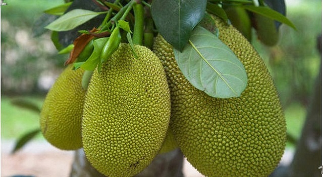 Chọn số để cải thiện vận may cho mình nhé Chọn số để cải thiện vận may cho mình nhé