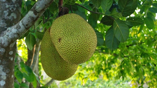 Giấc mơ là điềm lành hay dữ tuỳ vào suy nghĩ của từng người Giấc mơ là điềm lành hay dữ tuỳ vào suy nghĩ của từng người