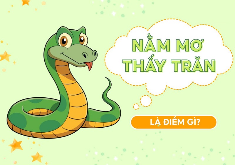 Mơ thấy con trăn là điềm báo lành hay dữ sắp đến? Mơ thấy con trăn là điềm báo lành hay dữ sắp đến?