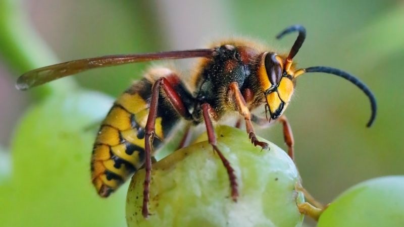Mỗi hình ảnh hiện lên trong mơ mang đến điềm báo riêng