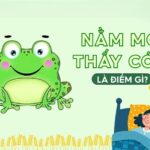 Giải mã giấc mơ nhìn thấy cóc dưới nhiều góc độ
