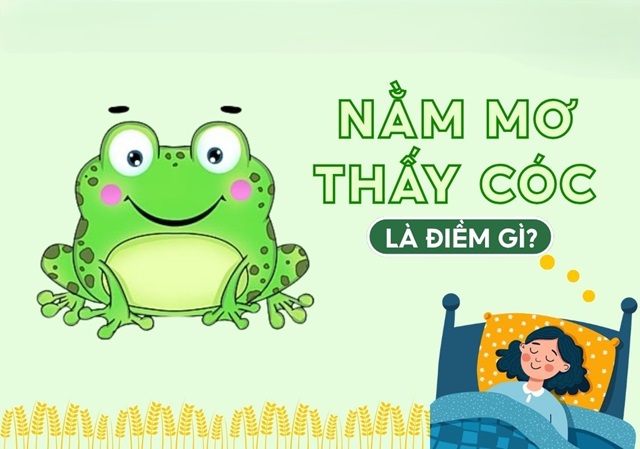 Giải mã giấc mơ nhìn thấy cóc dưới nhiều góc độ Giải mã giấc mơ nhìn thấy cóc dưới nhiều góc độ