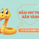 Giải mã chiêm bao nằm mơ thấy rắn vàng vào nhà