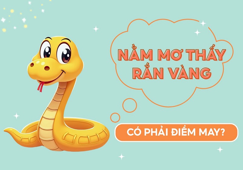 Giải mã chiêm bao nằm mơ thấy rắn vàng vào nhà