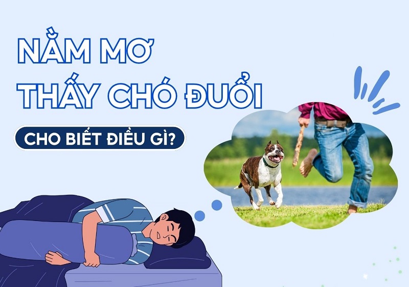 Nằm mơ thấy chó đuổi là điềm báo gì theo tâm linh? Nằm mơ thấy chó đuổi là điềm báo gì theo tâm linh?
